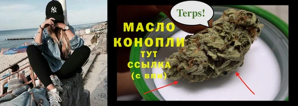 гашик Богданович