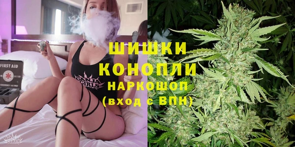 гашик Богданович