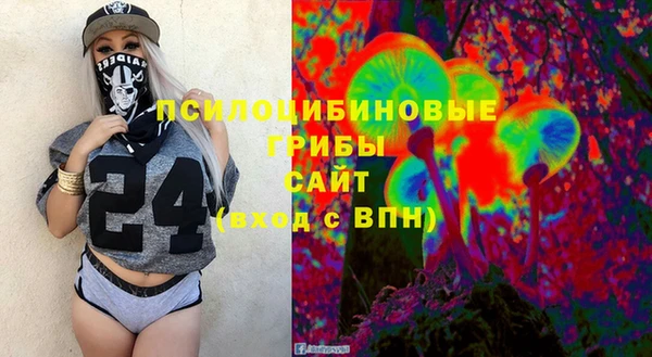 гашик Богданович