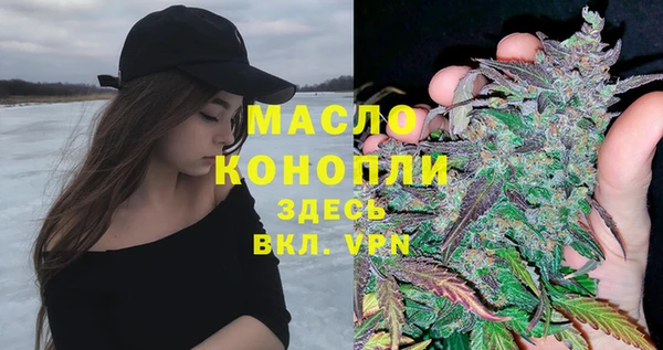 мдпв Богородск