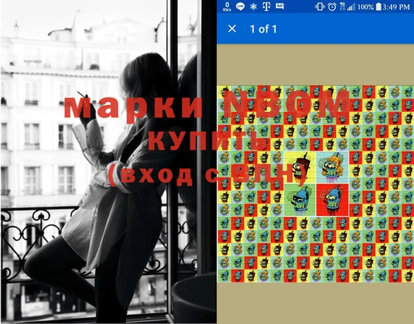 гашик Богданович