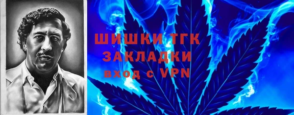 гашик Богданович