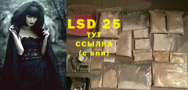гашик Богданович