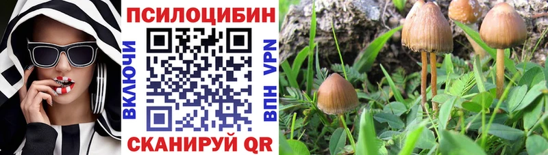 Псилоцибиновые грибы Magic Shrooms Шилка